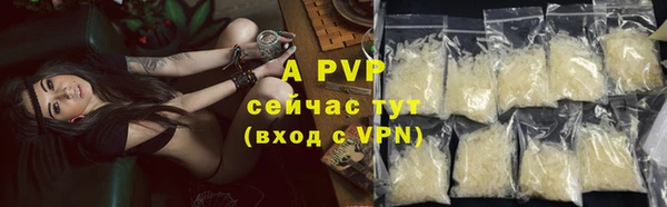 эйфоретик Иннополис