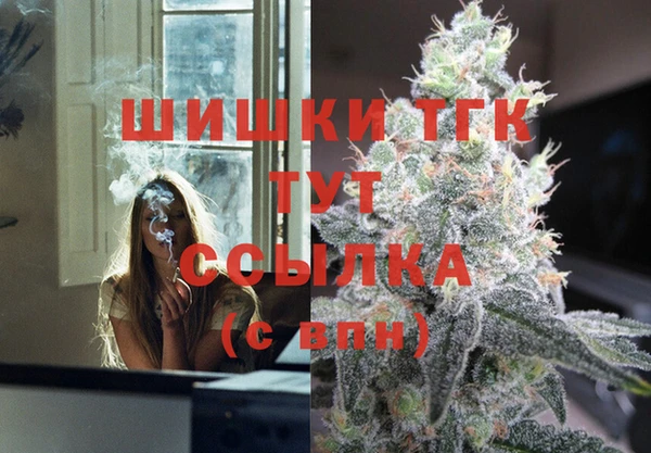 амф Инта