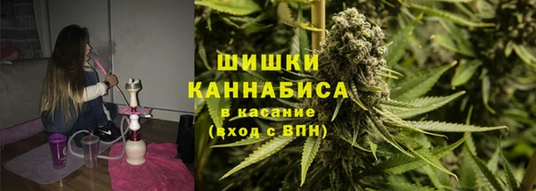 эйфоретик Иннополис