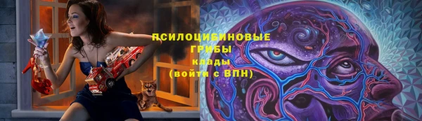 амф Инта