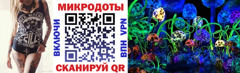 Купить где  Александровское  Галлюциногенные грибы мицелий 